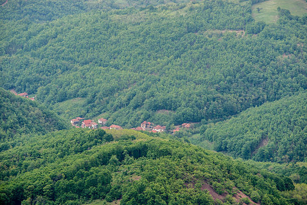 istock Houses in small village surrounded by forest 537714653