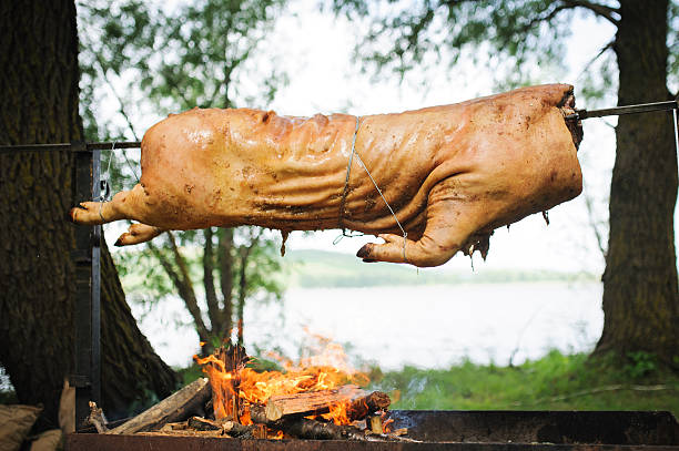 fuente de cerdo - spit roasted roasted roast pork domestic pig fotografías e imágenes de stock