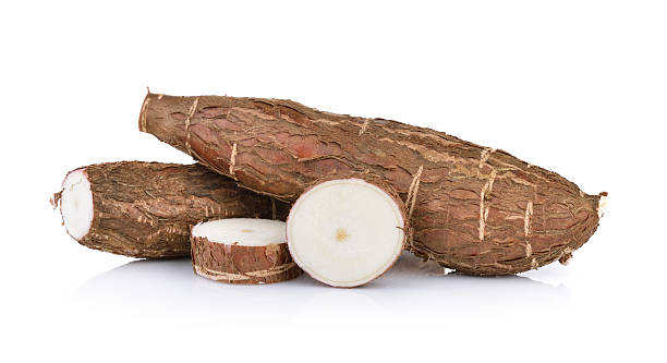 istock Cassava isolated on a white background 537714760