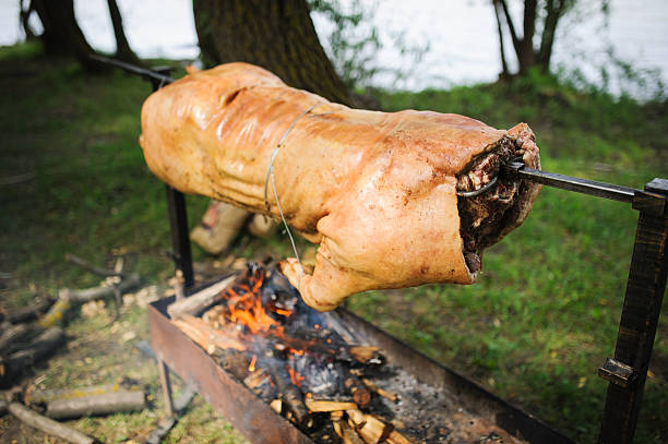 fuente de cerdo - spit roasted roasted roast pork domestic pig fotografías e imágenes de stock