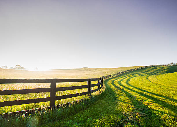 Horse Fence Snakes its Way Over the Hill Horse Fence Snakes its Way Over the Hill in rural Kentucky kentucky stock pictures, royalty-free photos & images