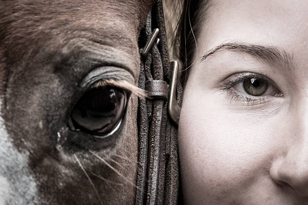 Girl's and Horse's Eyes