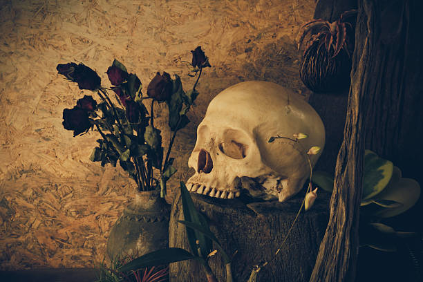 istock Still life with a human skull with desert plants, cactus 537717531