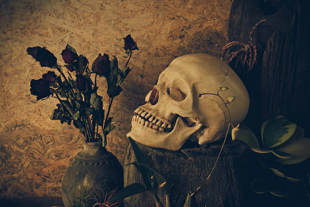 istock Still life with a human skull with desert plants, cactus 537717533