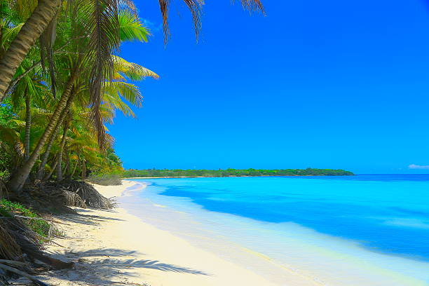 istock Tropical paradise relax Summer dreamscape: turquoise caribbean beach, White sand 537718736