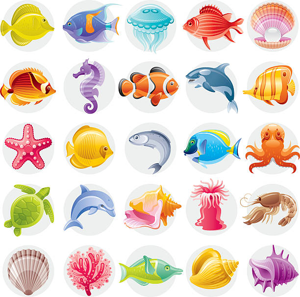 Cartoon illustrations of multicolored ocean creatures Fine colorful icon set with sea animals, that you can meet on the beach or while diving sea turtle clipart stock illustrations