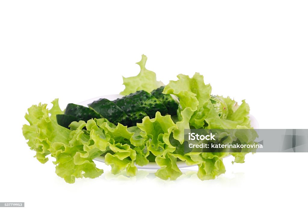 Lettuce with sliced cucumber lying on the plate Lettuce with sliced cucumber lying on the white plate 2015 Stock Photo