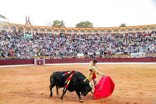 tourada - bullfighter imagens e fotografias de stock