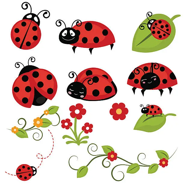 Vector illustration of Ladybug icons set