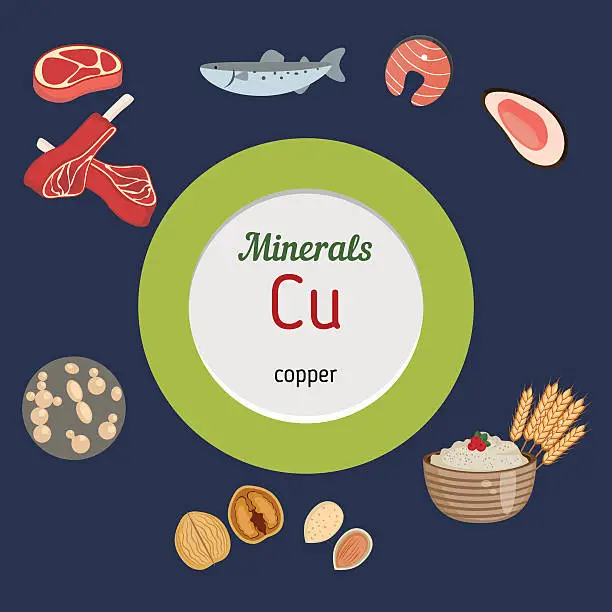 Vector illustration of Minerals Cu infographic