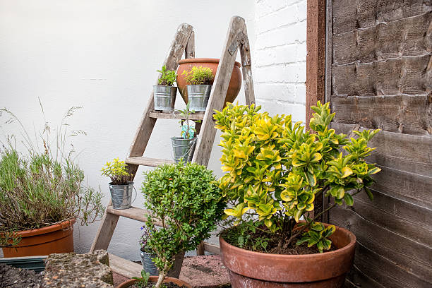 istock City Garden, Small Plant Display. Use Of Space. 537729648
