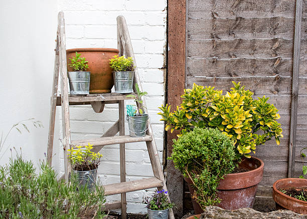 istock City Garden, Small Plant Display. Use Of Space. 537729738