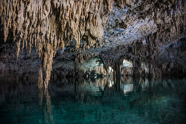 istock Inside a Cenote Pet cementery, Tulum riviera Maya, Mexico 537741819