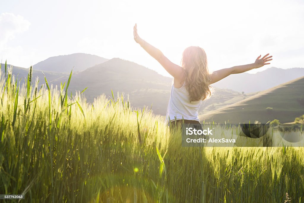 Junge schöne Frau mit Händen wuchs in das wheat field - Lizenzfrei Frauen Stock-Foto