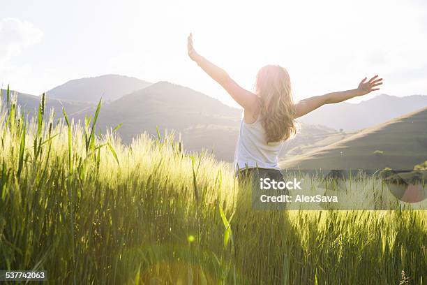 Junge Schöne Frau Mit Händen Wuchs In Das Wheat Field Stockfoto und mehr Bilder von Frauen
