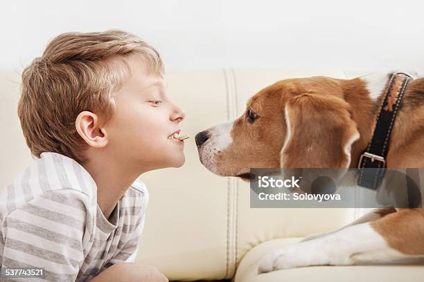 Little Piece Of Cookies To My Friend Stock Photo - Download Image Now - 2015, Animal, Apartment