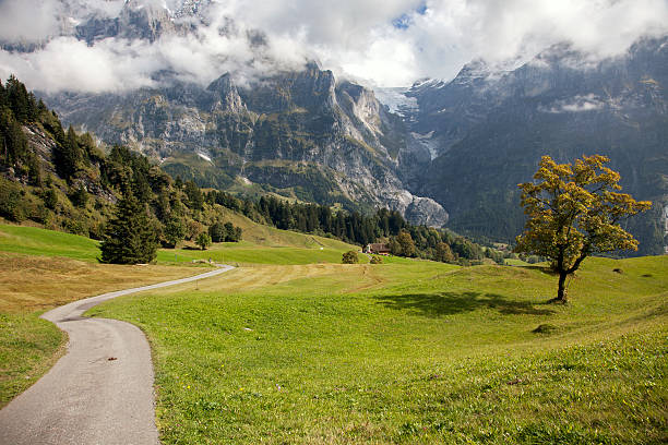 istock Mountain landscapes around Grindelwald, Switzerland 537761923