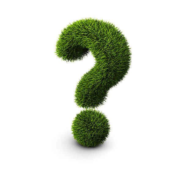 Grassed question symbol stock photo