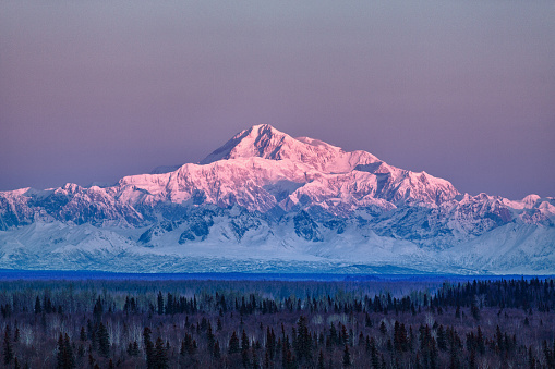 Mt. McKinley (Denali) at sunrise in winter. The mountain, in Denali National Park, is the highest point in North America at 20,322 feet.
