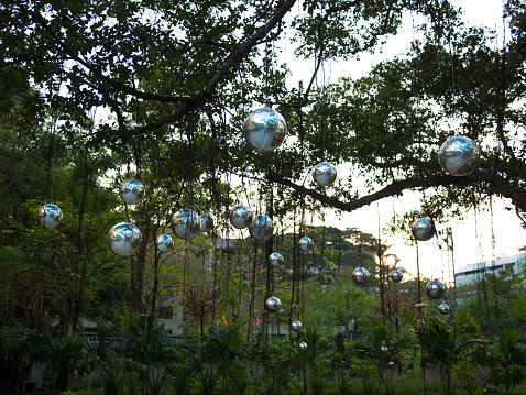Large silver balls hanging from the branches against a background of tropical trees