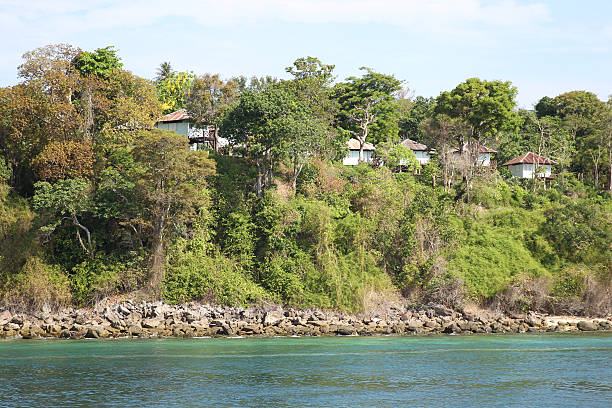 istock scenic views of the coastline of Phi Phi Island 537790055