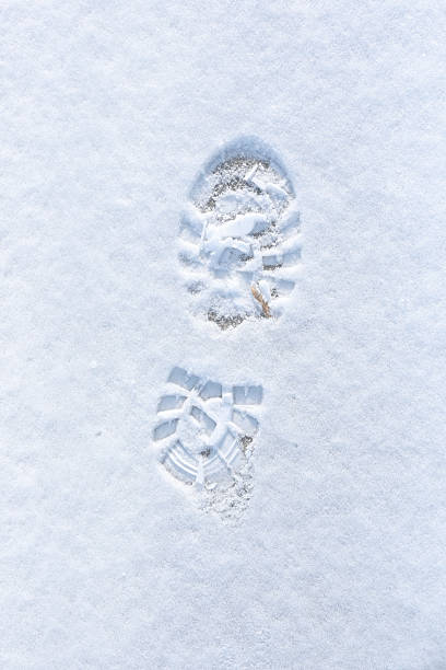 istock Footprint in the snow 537790183