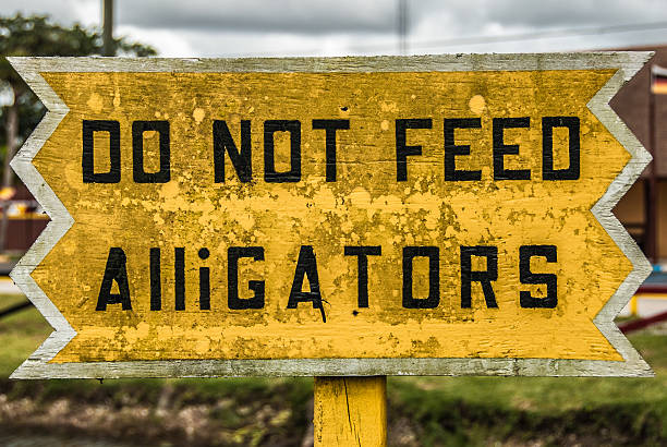 Yellow wooden warning sign with black letters. Do not feed Alligators. Seen in Florida