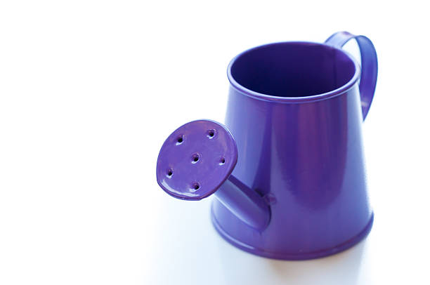purple watering can. It is isolated on a white background