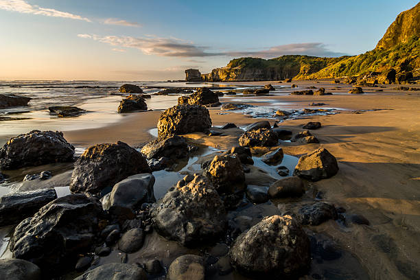 maori bay, muriwai - murawai beach - fotografias e filmes do acervo