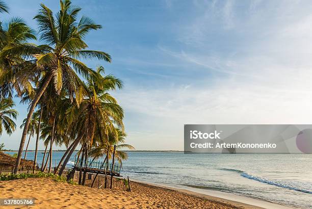 Spiaggia In Baia Di Arugam - Fotografie stock e altre immagini di Sri Lanka - Sri Lanka, Baia, Palma da cocco