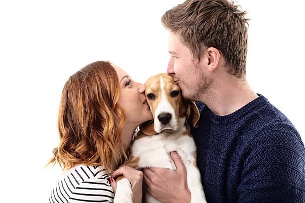 istock Cheerful married couple kisses their dog 537807064