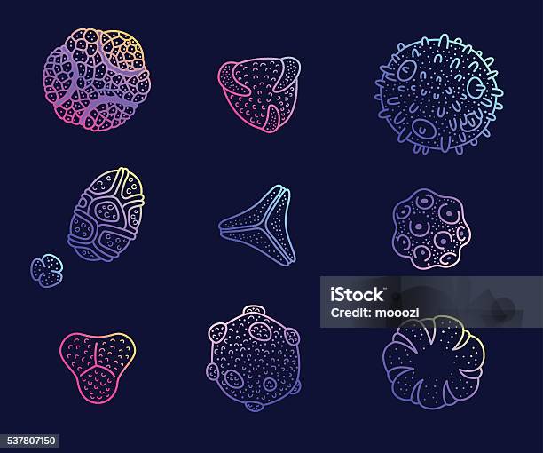 Colorful Pollen Spores Set Stock Illustration - Download Image Now - Plant Cell, Magnification, Spore