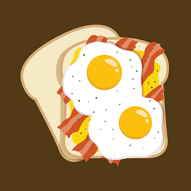 달걀, 베이컨 샌드위치, 간단한 조식 메뉴 - breakfast bacon eggs toast stock illustrations