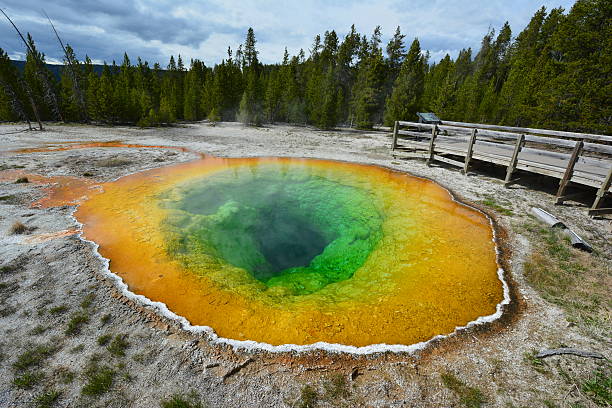 istock Morning Glory Pool Yellowstone National Park 537814064