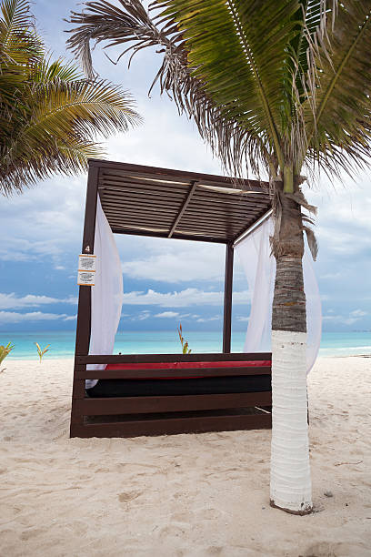 istock Modern wooden beach gazebo pavilion 537814416