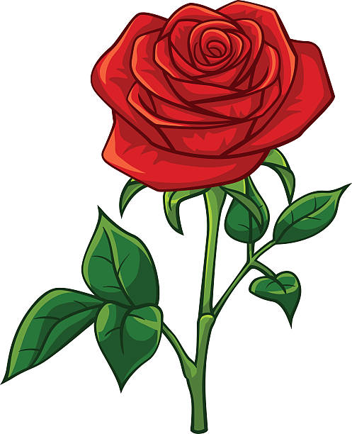 Red rose cartoon style Red rose cartoon style, vector art and illustration. rose cartoon stock illustrations