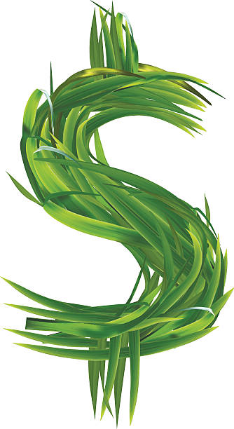 illustrations, cliparts, dessins animés et icônes de symbole du dollar en herbe - pound symbol environment grass currency