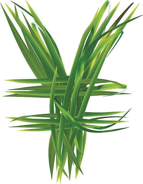 symbol jena z trawy - pound symbol environment grass currency stock illustrations