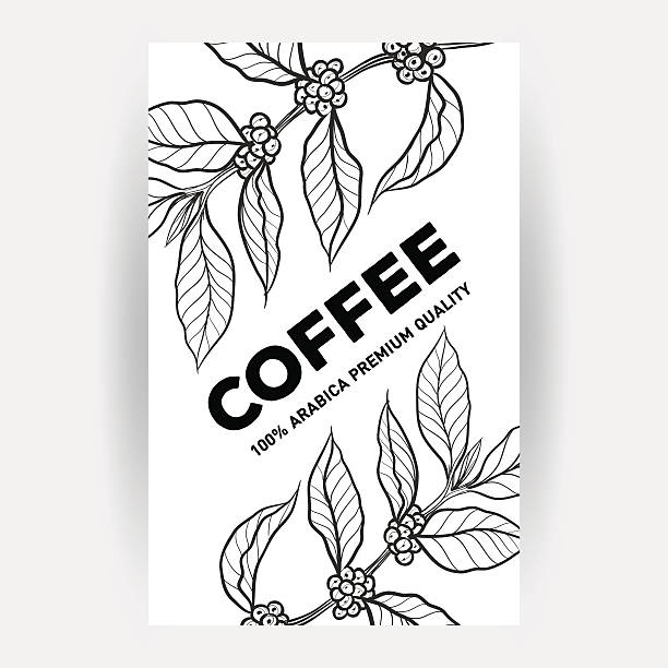 illustrazioni stock, clip art, cartoni animati e icone di tendenza di disegno di imballaggio per il caffè - bean latté pattern frame