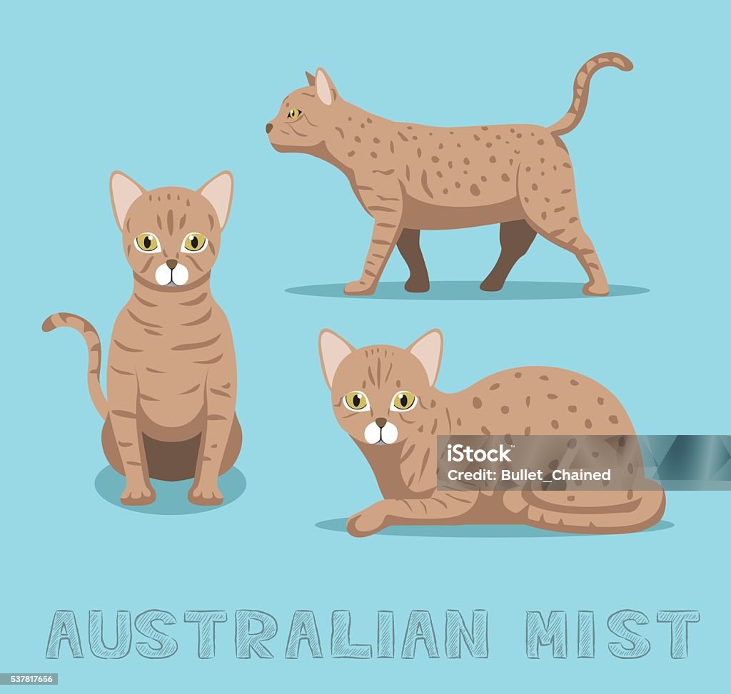 Austrain Cat Cat Australian Mist Cartoon Vector Illustration Stock Illustration ...