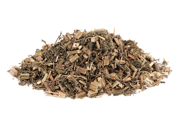 istock Chinese Motherwort Herb 537818071