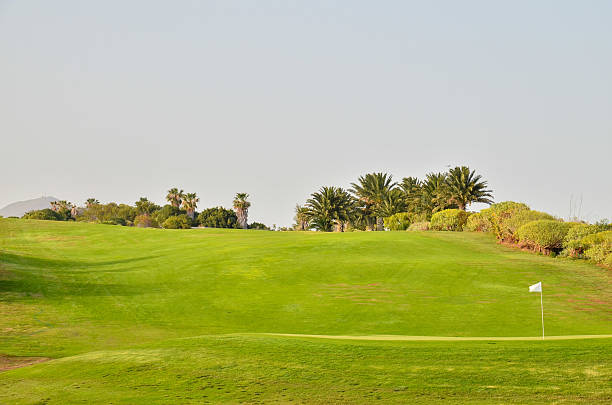 istock Golf Green Grass Fiel 537818108