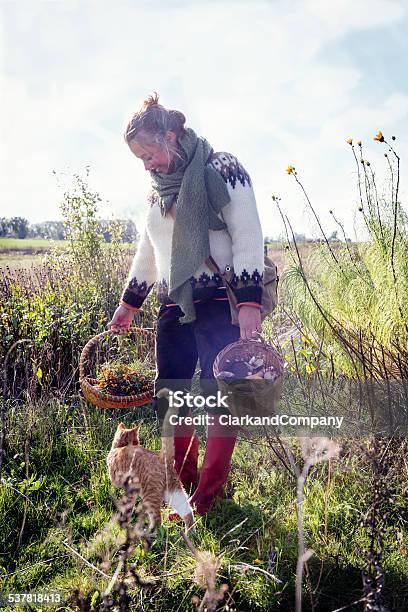 Food Forager And Cat At Work Stock Photo - Download Image Now - Autumn, Edible Mushroom, Women