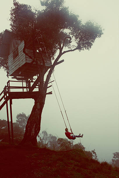 istock The Wildest Swing At Casa Del Arbol, Tree House 537818932