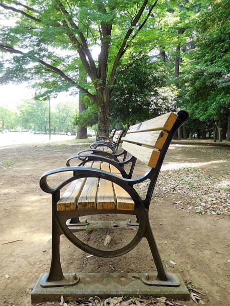 istock The lined benches in the forest park 537827182