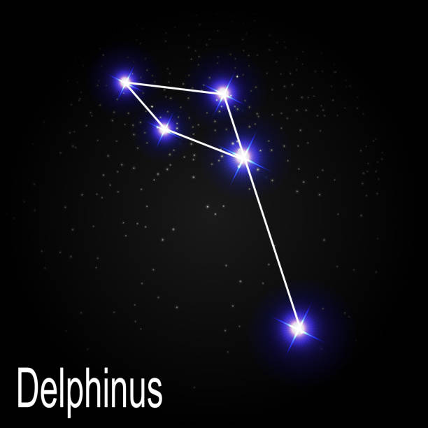 Delphinus Constellation with Beautiful Bright Stars on the Backg Delphinus Constellation with Beautiful Bright Stars on the Background of Cosmic Sky Vector Illustration EPS10 constellation delphinus stock illustrations