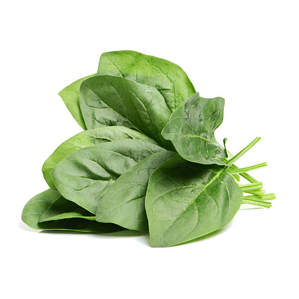 Spinach Spinach on white close up spinach stock pictures, royalty-free photos & images