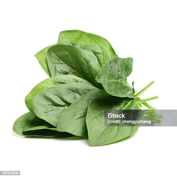 Spinach Stock Photo - Download Image Now - Spinach, White Background, Leaf