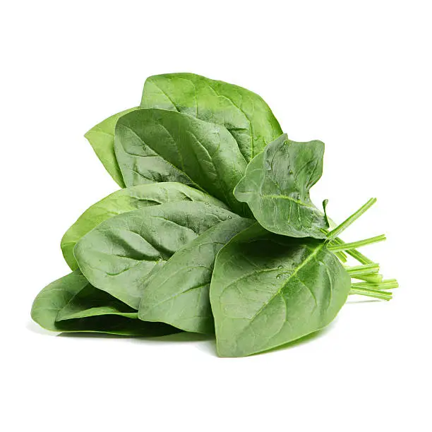 Spinach on white close up