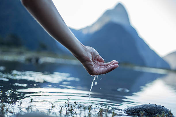 istock Human hand cupped to catch fresh water from the lake 537829900